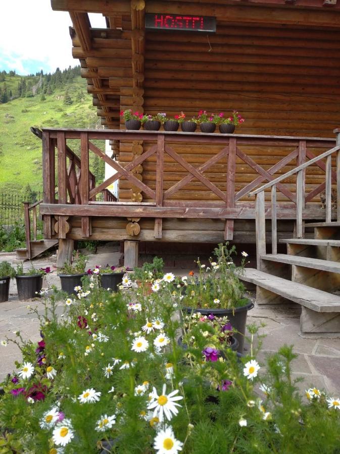 Hostel Shymbulak Алма Ата Екстериор снимка